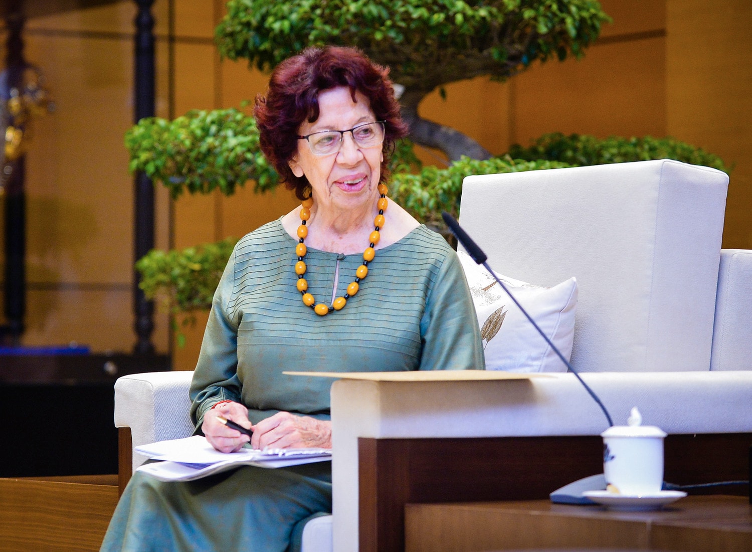 Đại sứ, Thứ trưởng phụ trách Đối ngoại, Bộ Ngoại giao Mexico Carmen Moreno Toscano phát biểu