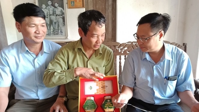  Mật ong do Tổ hợp tác ong mật Đông Tam Đảo sản xuất - Ảnh: ITN
