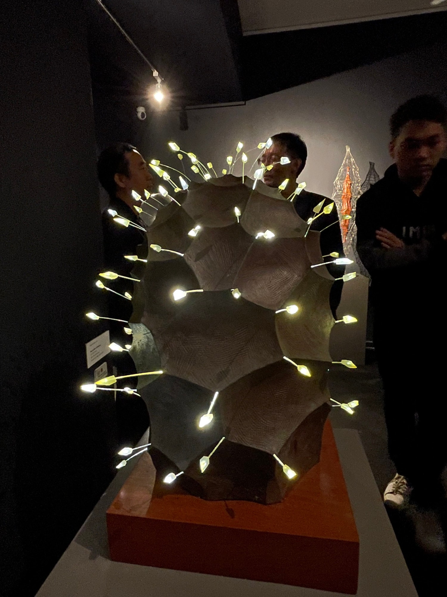 Âm và dương trong điêu khắc đương đại -0