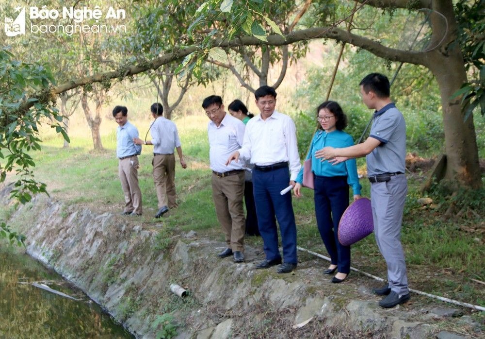 Đoàn giám sát HĐND tỉnh Nghệ An kiểm tra hồ lắng nước thải trước khi xả ra môi trường của Công ty cổ phần Bia Sài Gòn Sông Lam. Ảnh Tiến Đông