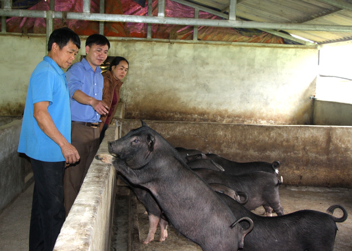 Khi đất cằn phủ màu no ấm -0