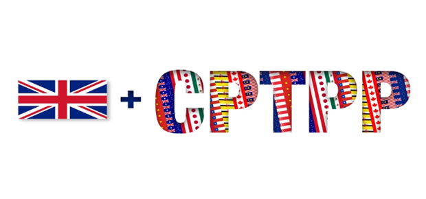 Anh chính thức tham gia CPTPP: Bước đi cùng thắng ảnh 1