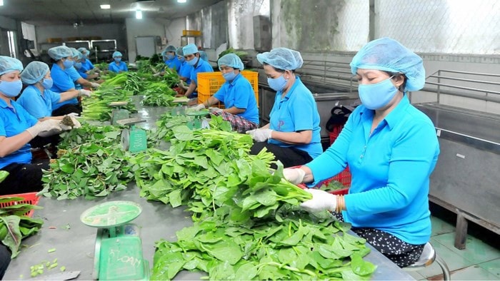Đề nghị Bộ Tài chính phản hồi trước ngày 5.4.2023 -0