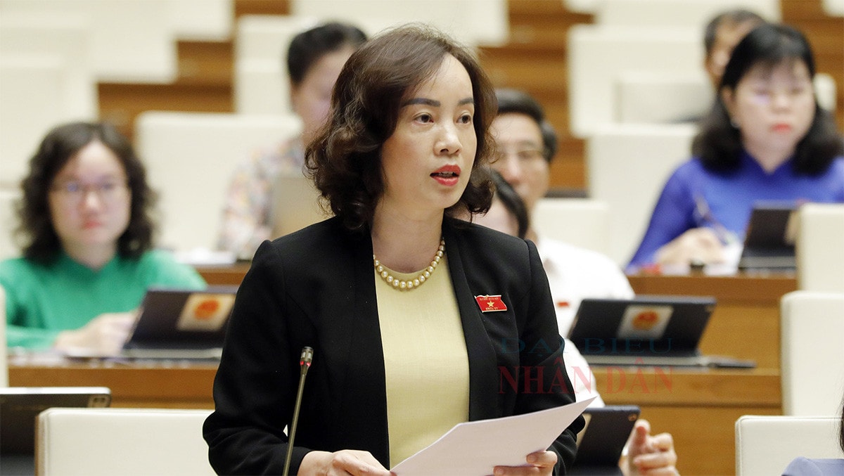 Khai mạc Hội nghị đại biểu Quốc hội hoạt động chuyên trách -0