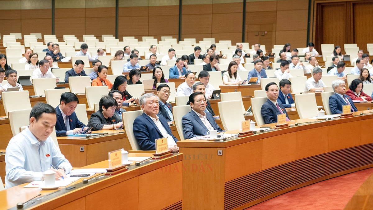 Khai mạc Hội nghị đại biểu Quốc hội hoạt động chuyên trách -0