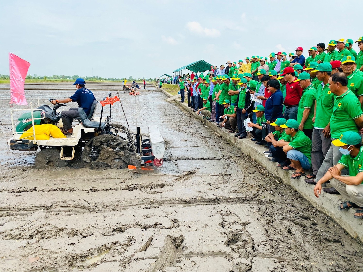 Cơ giới hoá gieo sạ giúp hỗ trợ sản xuất lúa chất lượng cao -0