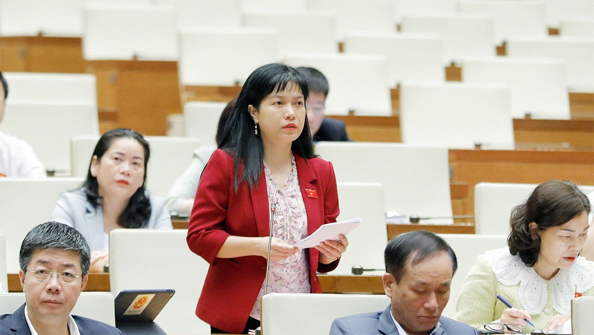 Đất có nguồn gốc nông, lâm trường cần xác định là đất công, thuộc diện dự trữ quốc gia -0