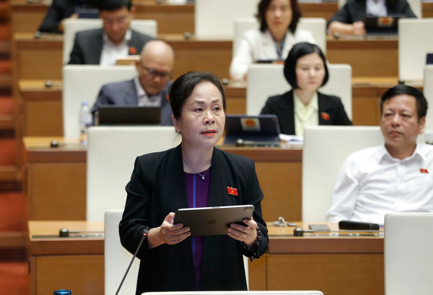   Bảo đảm hài hoà lợi ích giữa Nhà nước và nhà đầu tư -0