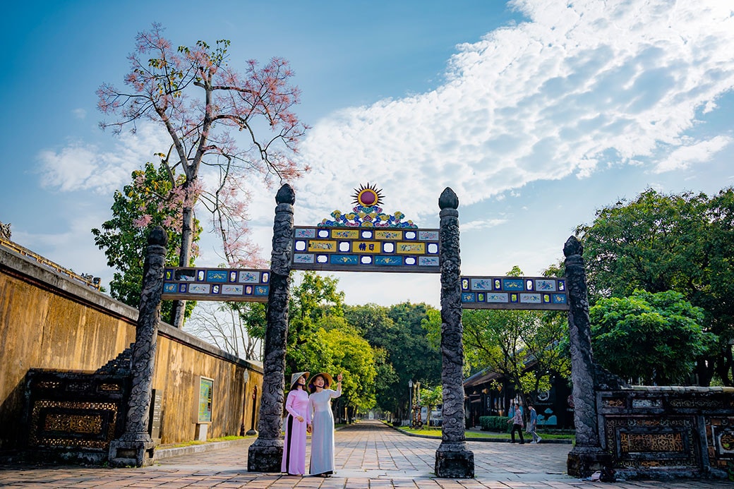 Ngô đồng đua nhau khoe sắc trong Đại Nội Huế -0