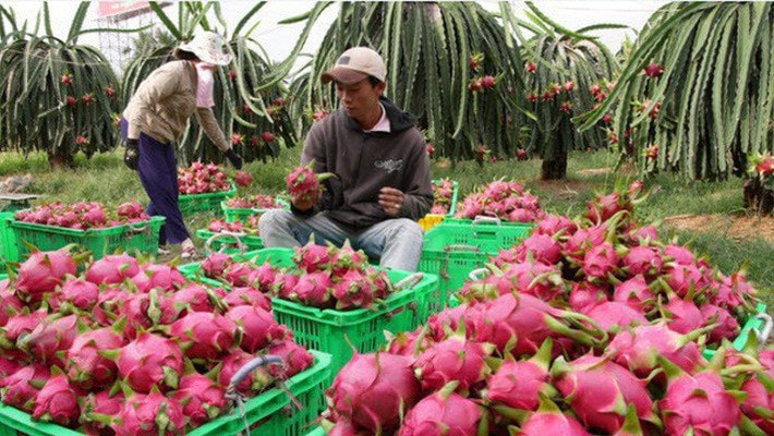 Dự kiến FTA Việt Nam - Israel sẽ được ký kết trong năm 2023
