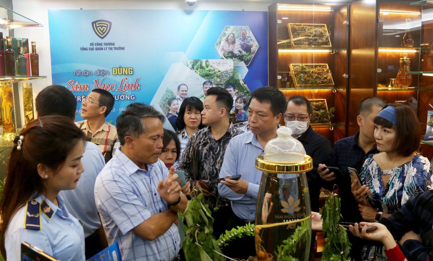 Nhận diện đúng Sâm Ngọc Linh trên thị trường -0