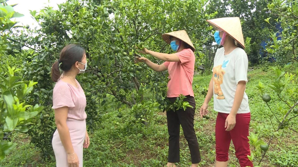 Bảo đảm bình đẳng giới trong Dự án Luật Đất đai (sửa đổi) -0