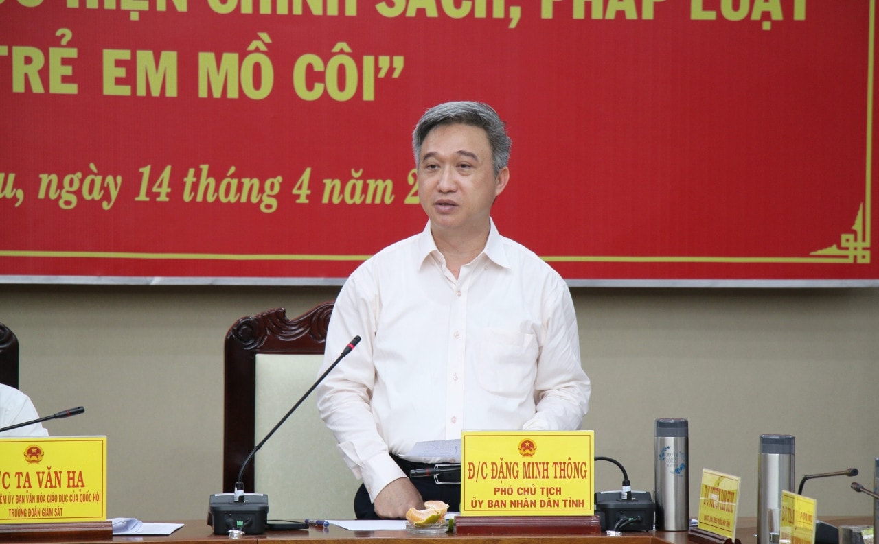 Phó Chủ tịch UBND tỉnh Bà Rịa - Vũng Tàu Đặng Minh Thông phát biểu Đoàn giám sát của Ủy ban Văn hoá, Giáo dục làm việc với UBND tỉnh Bà Rịa - Vũng Tàu -0
