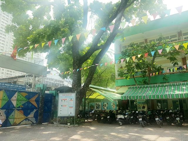 Đảm bảo an toàn đối với hệ thống cây xanh trong trường học -0