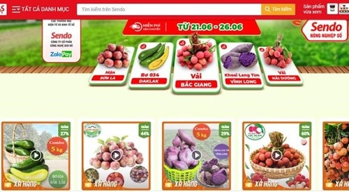 TMĐT sẽ giúp doanh nghiệp, hợp tác xã nâng cao chất lượng, năng lực cạnh tranh, thương hiệu sản phẩm