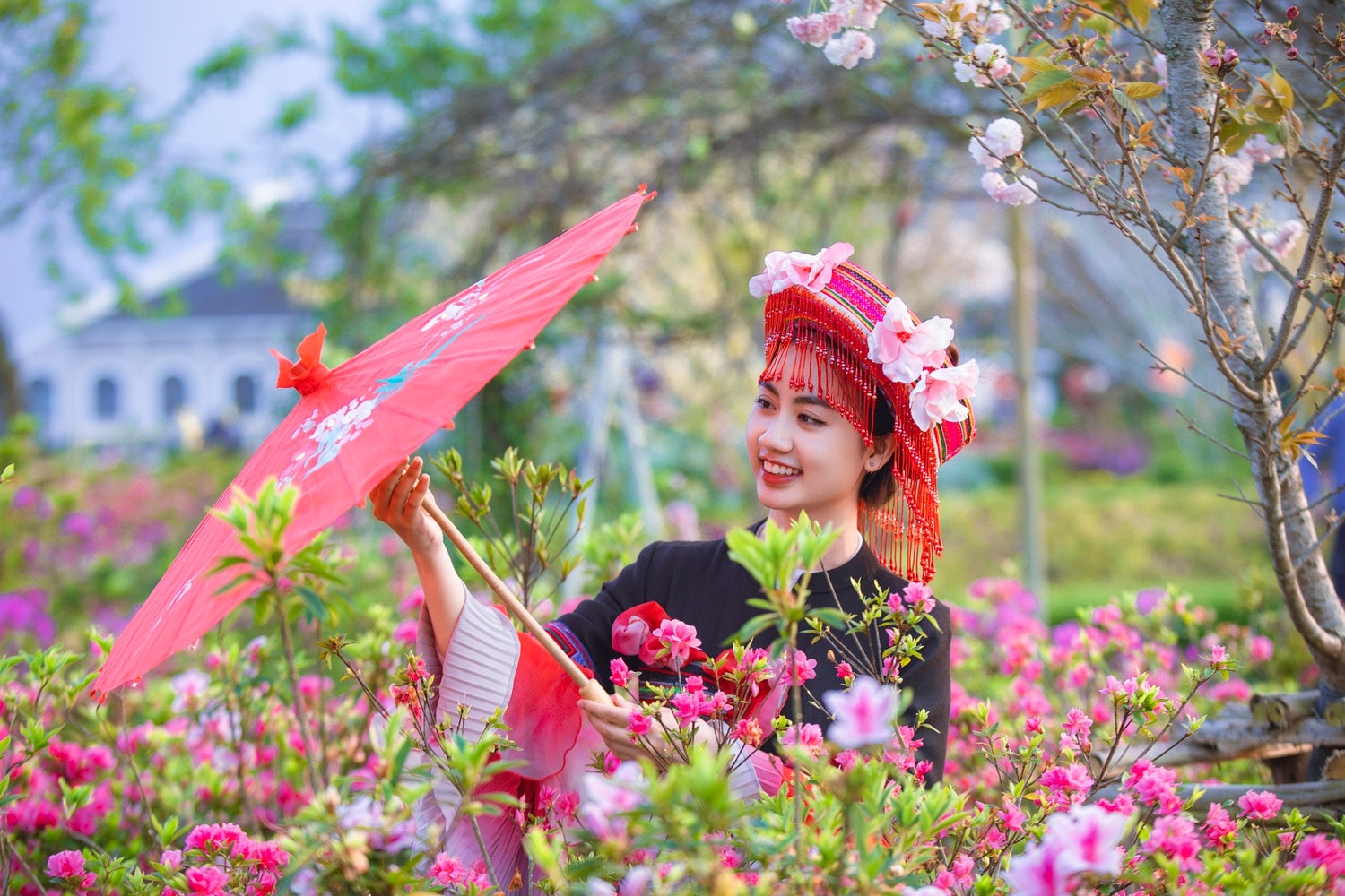 Sa Pa tổ chức Lễ hội hoa hồng lớn nhất từ trước tới nay vào dịp 30.4 -0