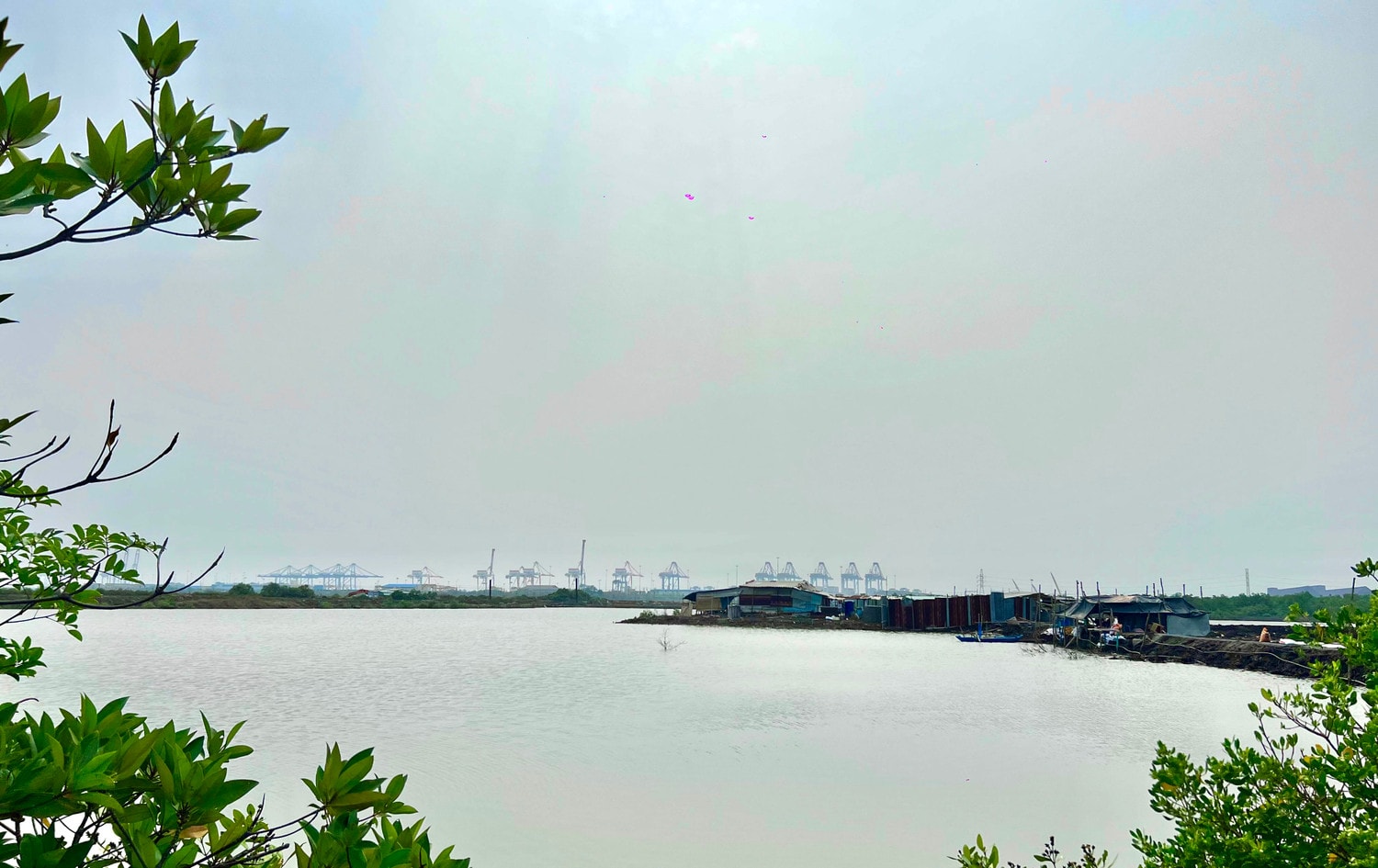 Mới đây, UBND tỉnh Bà Rịa - Vũng Tàu có văn bản đôn đốc Sở Kế hoạch và Đầu tư khẩn trương báo cáo, tham mưu tỉnh xử lý các vấn đề liên quan đến 3 dự án bãi container hơn 10 năm vẫn là rừng đước, vuông tôm
