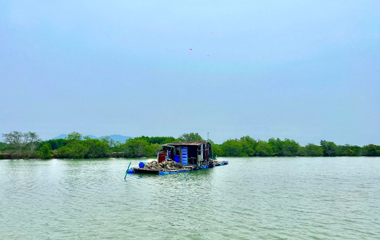 Đoàn Đại biểu Quốc hội tỉnh Bà Rịa - Vũng Tàu nhiều lần đề nghị giải quyết dứt điểm vụ các dự án bãi container làm ảnh hưởng người dân