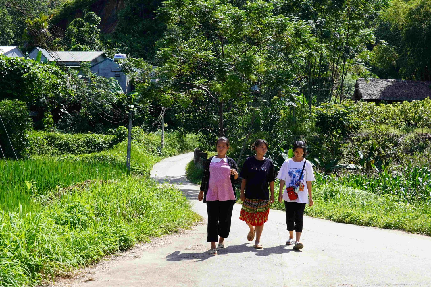 Tháo gỡ lo lắng về nhân khẩu học -0