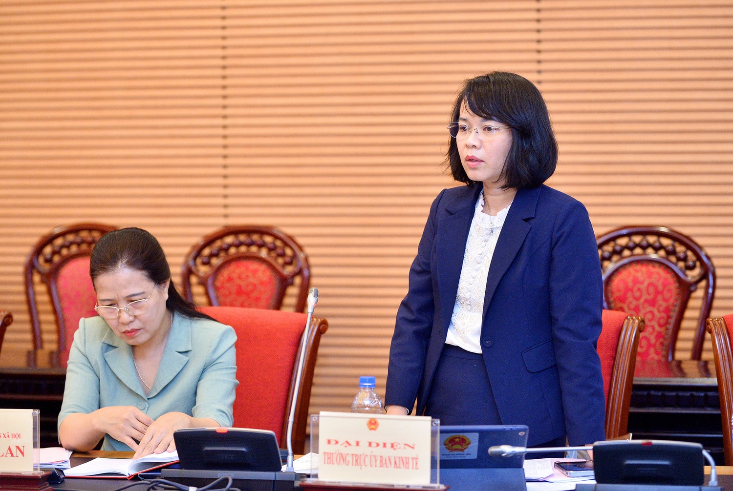 Uỷ viên Thường trực Uỷ ban Kinh tế Phạm Thị Hồng Yến phát biểu