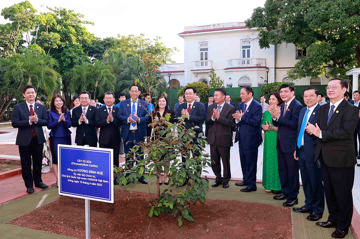 Một số hình ảnh Chủ tịch Quốc hội Vương Đình Huệ thăm chính thức Cuba -1