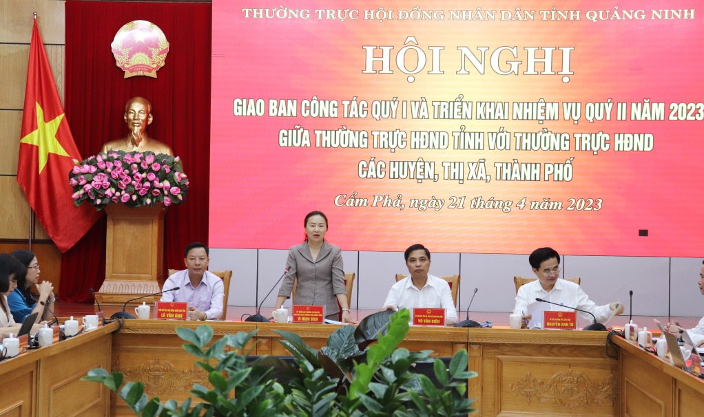 Phó Chủ tịch Thường trực HĐND tỉnh Vi Ngọc Bích phát biểu kết luận hội nghị 