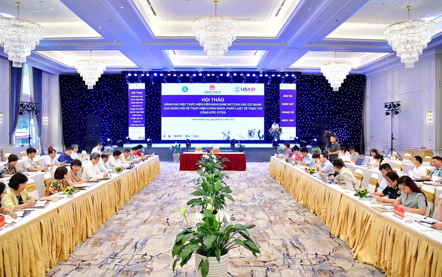 Toàn cảnh Hội thảo Đánh giá “việc thực hiện các kiến nghị giám sát của các cơ quan Quốc hội về thực hiện chính sách, pháp luật thực thi công ước CITES” -0
