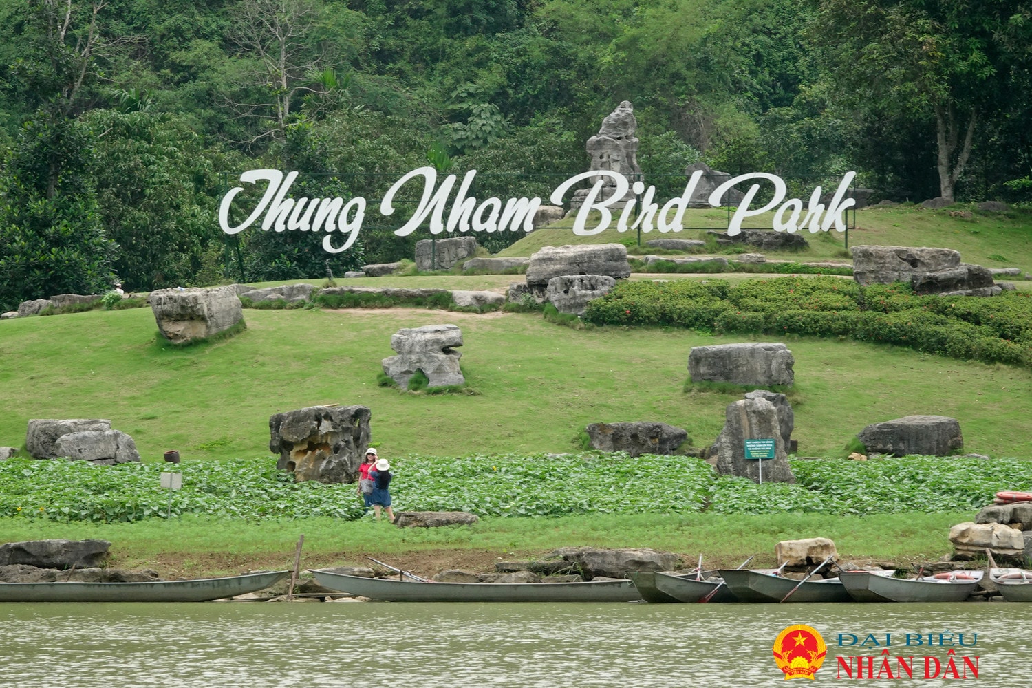 Ninh Bình: Lạc vào xứ sở các loài chim ở Thung Nham
