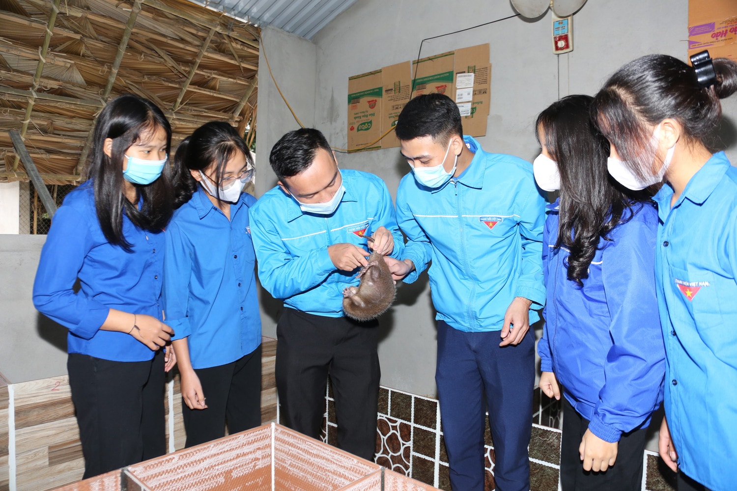 Ảnh 2: Nguồn vốn chính sách đang giúp sức cho thanh niên ở Con Cuông (Nghệ An) phát triển kinh tế. Ảnh: Đức Kiên.