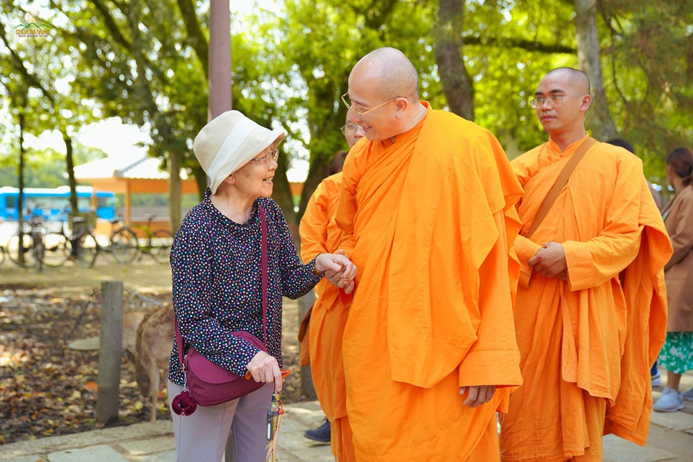 Tích lũy nghiệp thiện trước khi chọn nghề -0