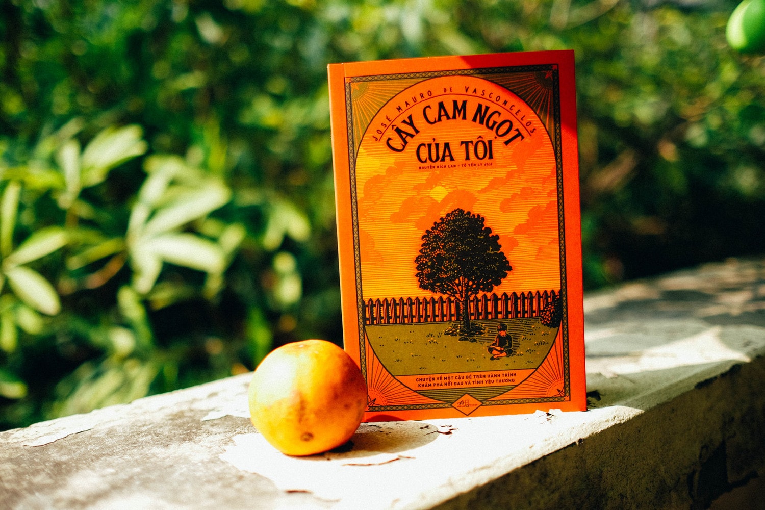 Những cuốn sách đi cùng tuổi thơ -1