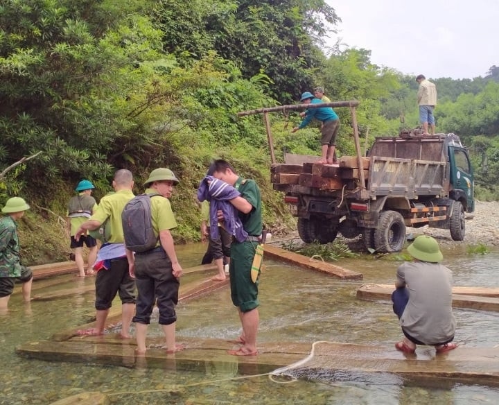 Phát hiện lượng lớn gỗ tập kết trái phép ở Hà Tĩnh -0