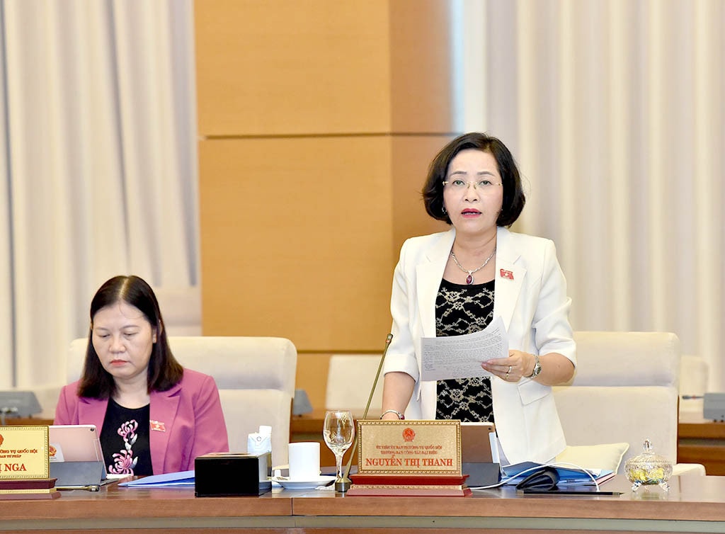 Trưởng Ban Công tác đại biểu, Phó trưởng Ban Tổ chức Trung ương Nguyễn Thị Thanh phát biểu tại Phiên họp. Ảnh: Lâm Hiển Kịp thời phân bổ, giao vốn theo đúng kế hoạch -0