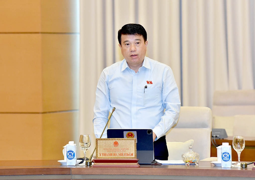 Chủ tịch Hội đồng Dân tộc Y Thanh Hà Niê Kđăm phát biểu tại Phiên họp. Ảnh: Lâm Hiển Phân tích rõ nguyên nhân khách quan, chủ quan, quyết đáp theo từng nhóm vấn đề -0