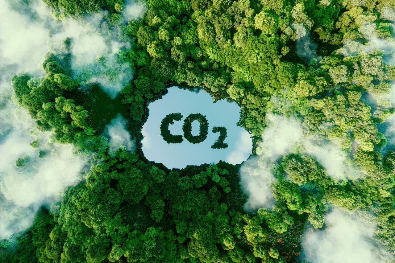 Khi nào Viêt Nam vận hành sàn giao dịch tín chỉ carbon? -0