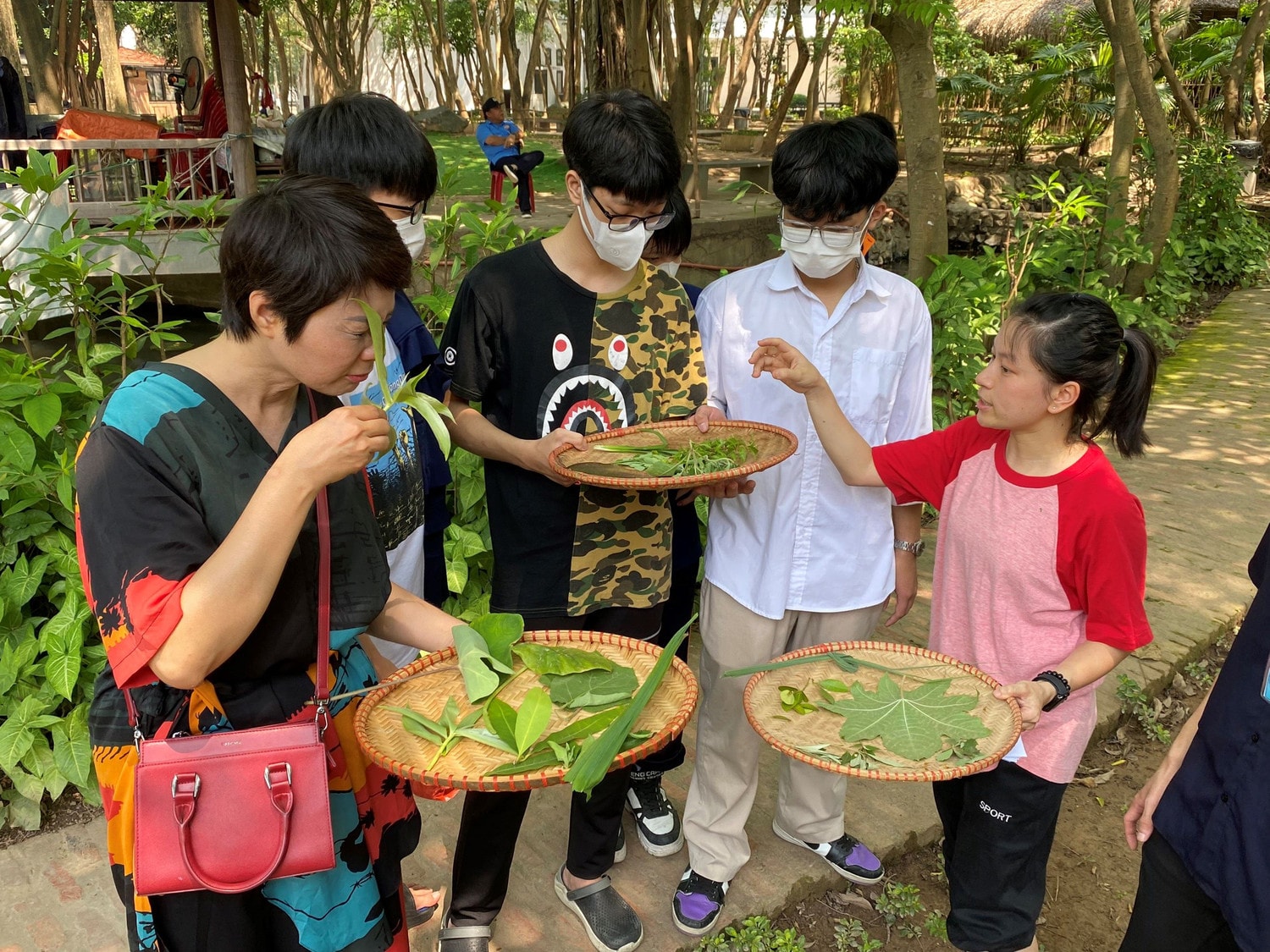 khách tham quan thử trải nghiệm nhận biết cây thuốc nam.jpg -0