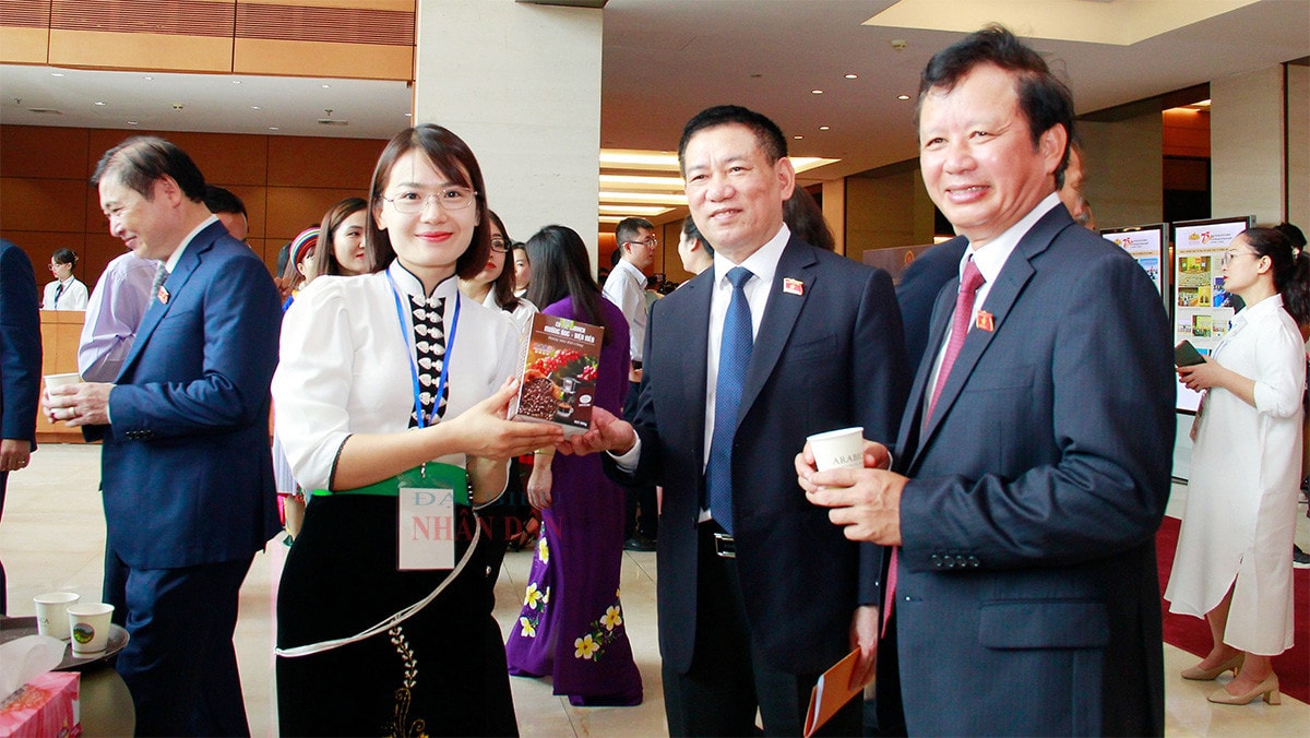 Cà phê Arabica Mường Ảng – hương vị đặc trưng núi rừng Tây Bắc