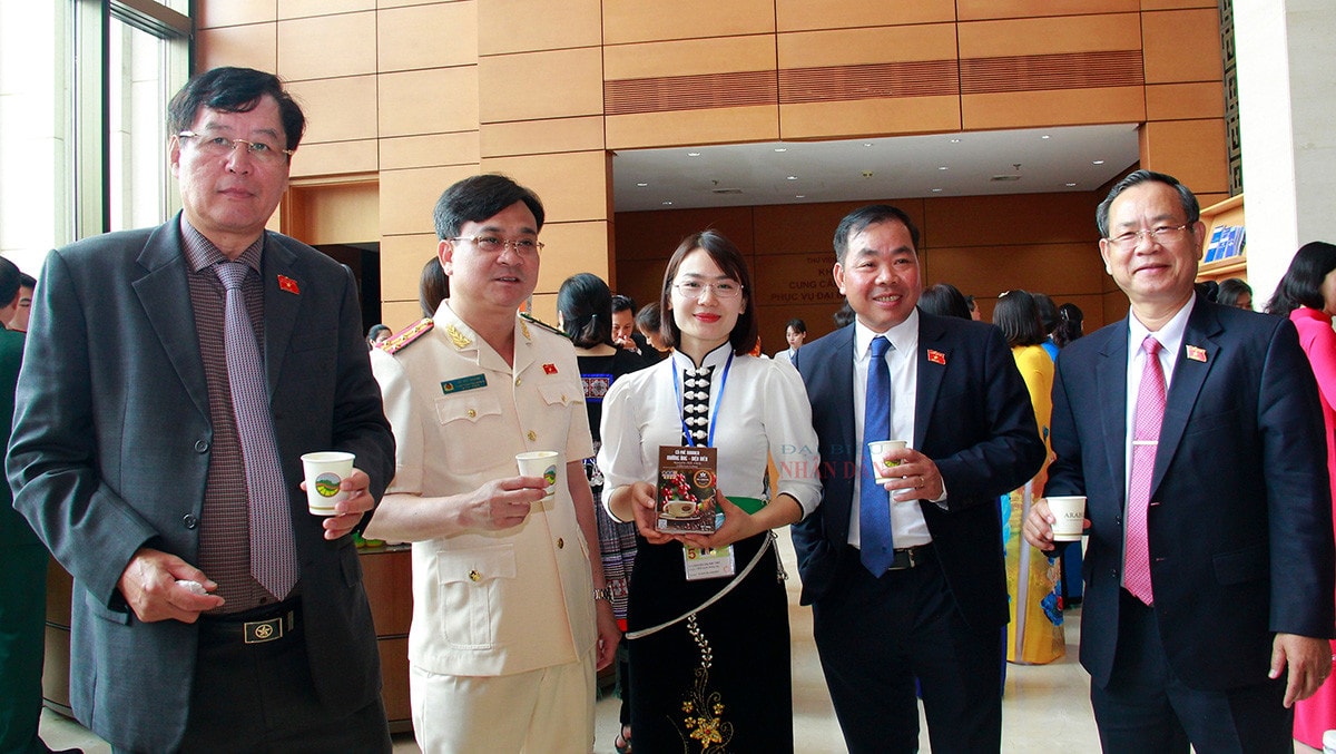 Cà phê Arabica Mường Ảng – hương vị đặc trưng núi rừng Tây Bắc