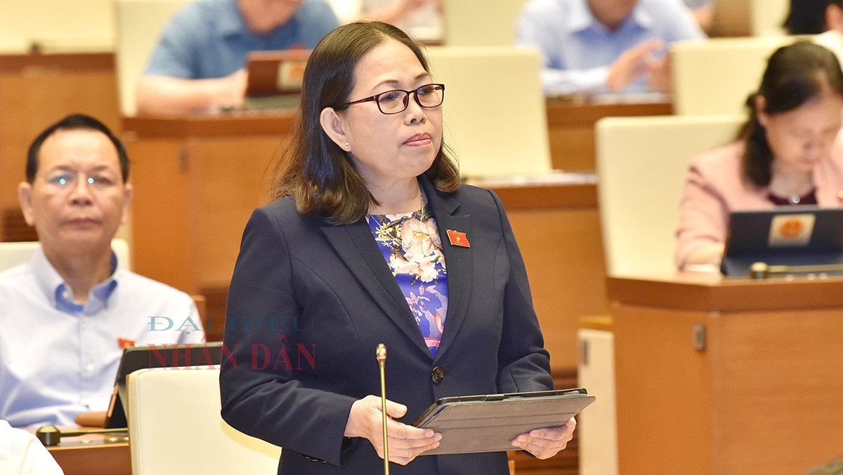 Chương trình xây dựng luật, pháp lệnh: Chú trọng tổng kết thực tiễn để lập đề nghị có tầm nhìn dài hạn hơn -0