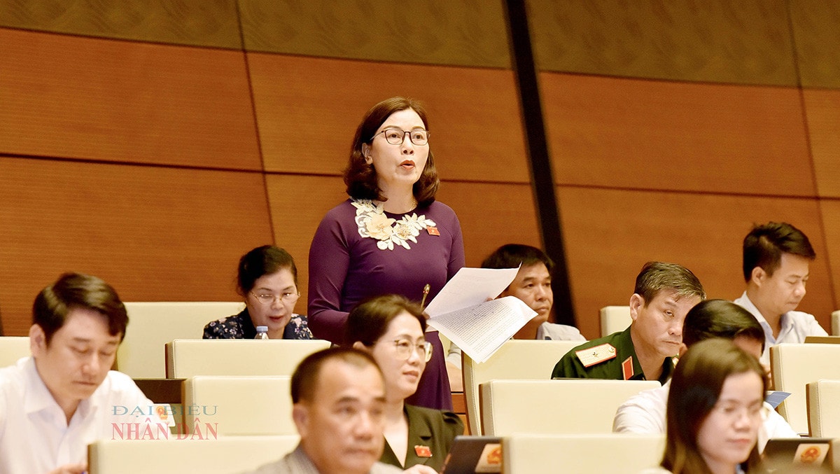Chương trình xây dựng luật, pháp lệnh: Chú trọng tổng kết thực tiễn để lập đề nghị có tầm nhìn dài hạn hơn -0