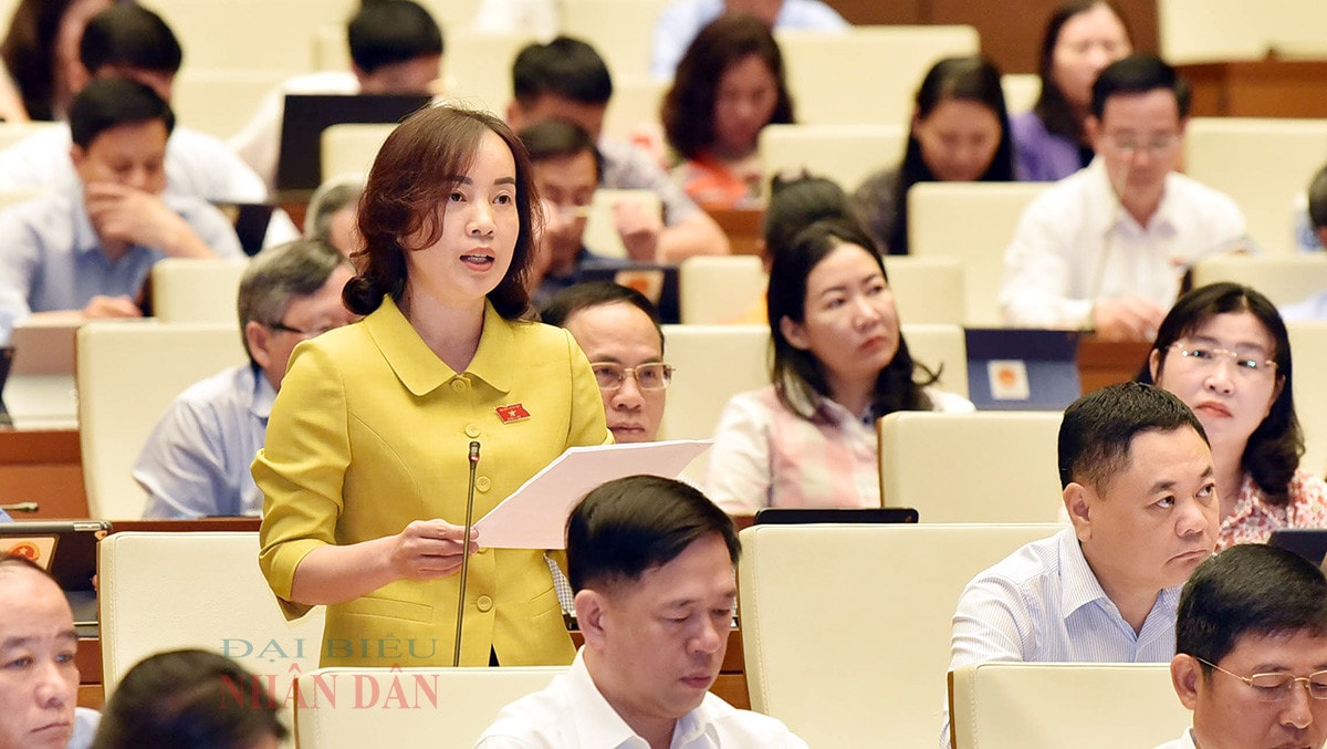 Chương trình xây dựng luật, pháp lệnh: Chú trọng tổng kết thực tiễn để lập đề nghị có tầm nhìn dài hạn hơn -0