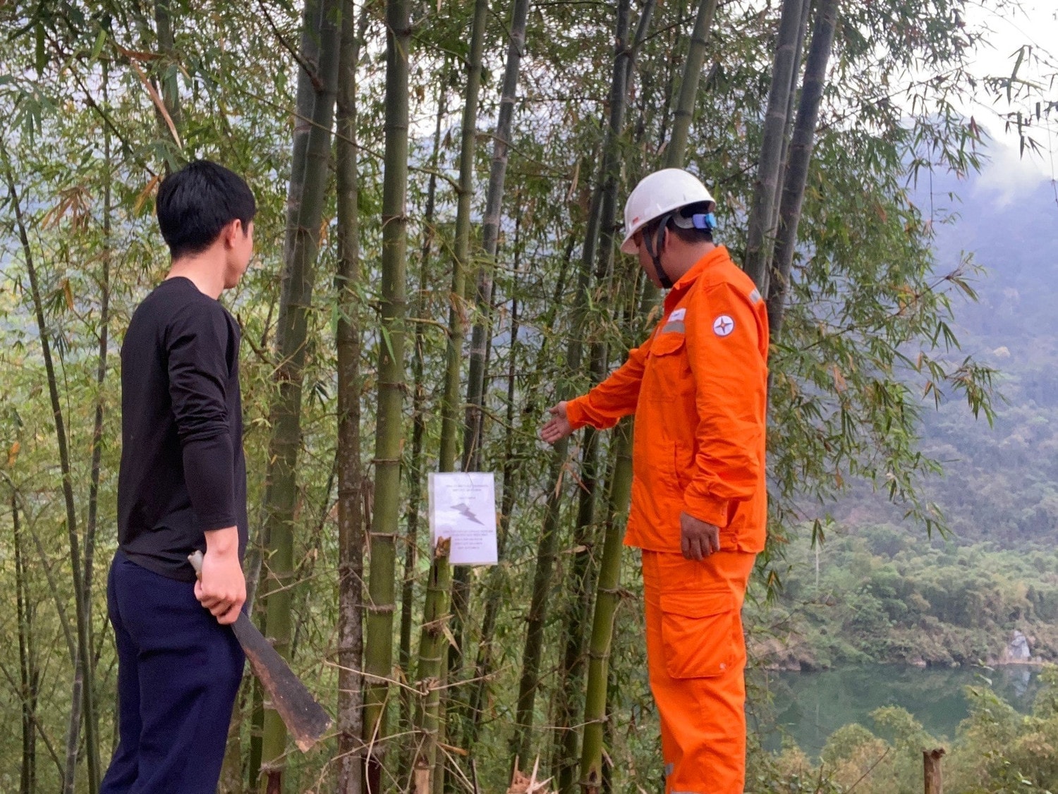 Bảo đảm hành lang an toàn lưới điện - hiệu quả không chỉ đến từ nỗ lực của ngành Điện -0