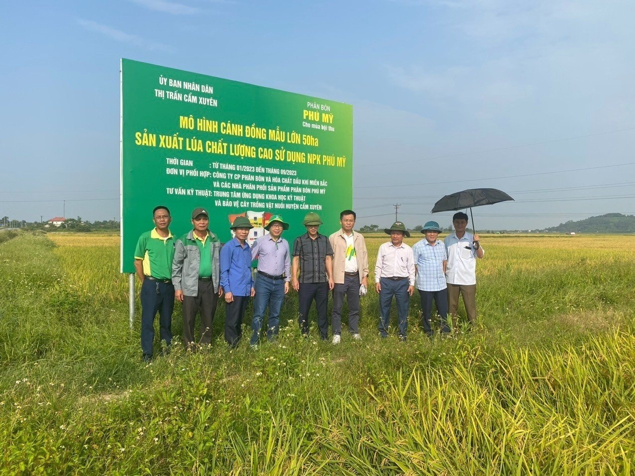 Sử dụng phân bón NPK Phú Mỹ cho cánh đồng mẫu lớn đạt năng suất cao -0