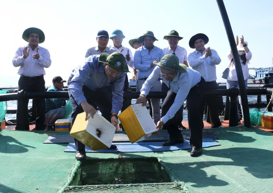 Khánh Hòa phát động Chương trình thí điểm nuôi biển công nghệ cao -0
