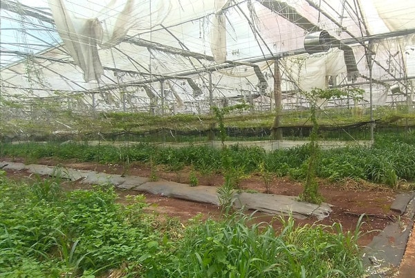 Chuyển hồ sơ sang Công an điều tra sai phạm tại dự án đầu tư hạ tầng kỹ thuật Trung tâm Công nghệ sinh học