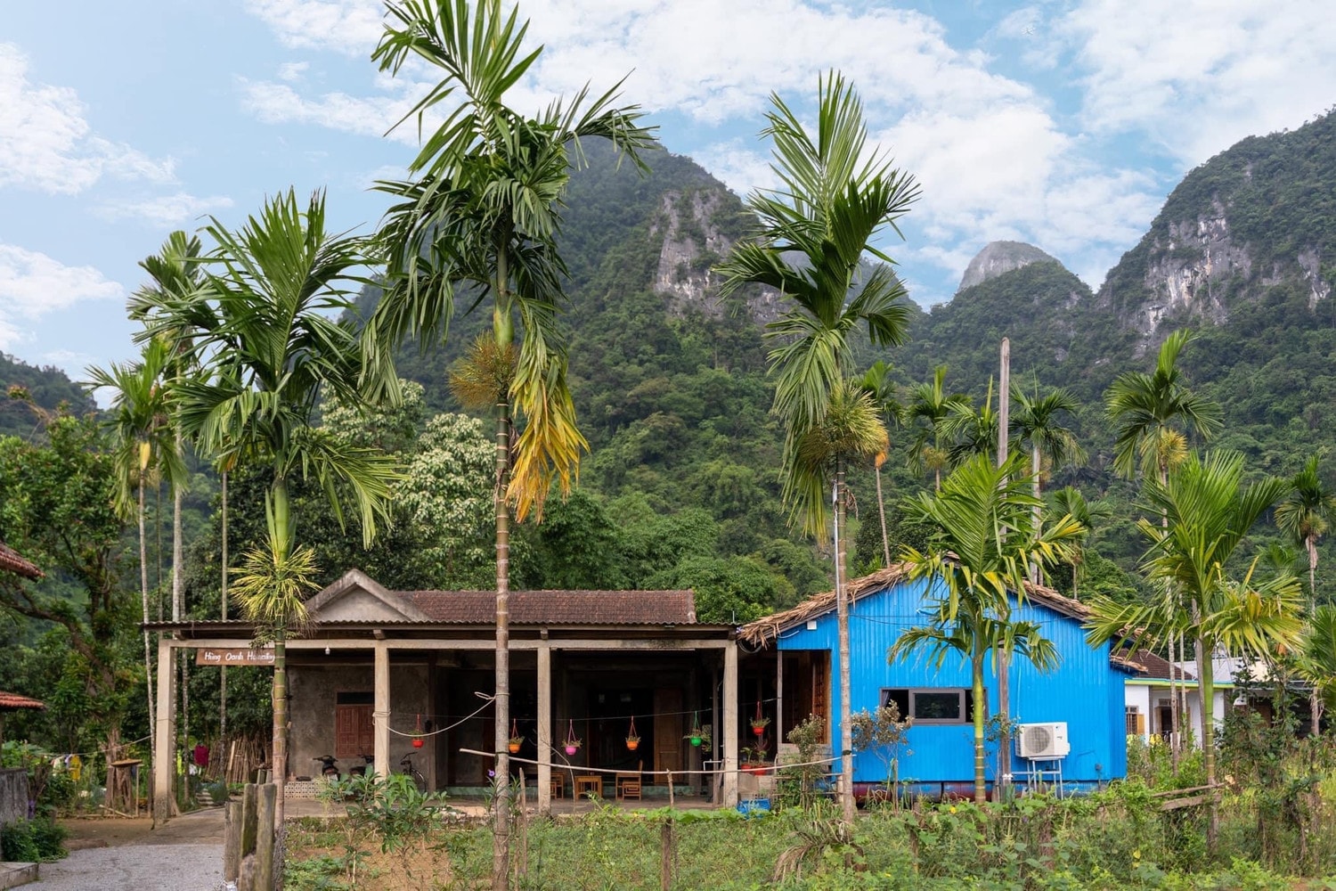 Homestay được bao quanh bởi những dãy núi đá vôi hùng vĩ và cây cối - Ảnh: Oxalis 