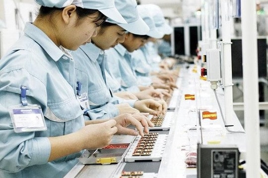 Chính phủ sẽ trình Quốc hội chính sách về thuế tối thiểu toàn cầu tại Kỳ họp tháng 10 tới