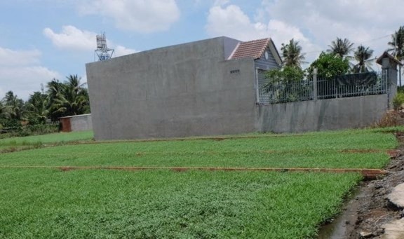 Quy định tách thửa đất thổ cư, đất nông nghiệp mới nhất -0