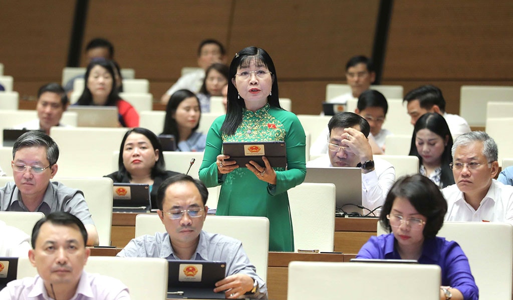 Cần bổ sung kết quả giám sát văn bản quy phạm pháp luật để cử tri và Nhân dân theo dõi -0