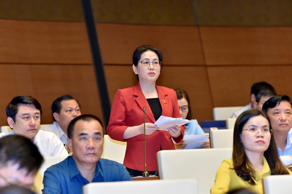 ĐBQH Phan Thị Nguyệt Thu (Hà Tĩnh): Cân nhắc việc công khai thông tin tổ chức, cá nhân kinh doanh bị kiện -0